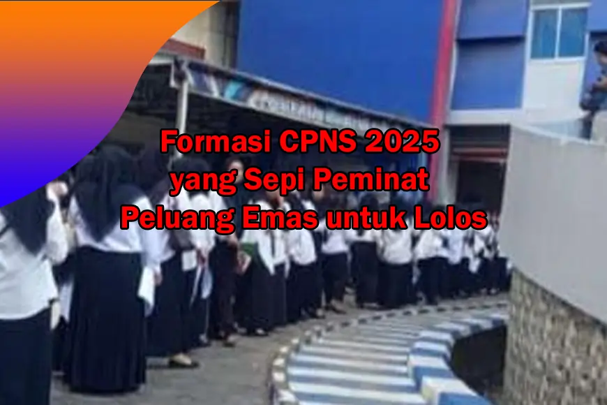 Formasi CPNS 2025 yang Sepi Peminat Peluang Emas untuk Lolos